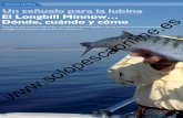  · TÉCNICAS DE PESCA 46 Pesca de Altura L a palabra Minnow es un término angló-fono que literalmente significa vairón (Gobio), ese pequeño pez de montaña
