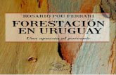 Durante los últimos cincuenta años Uruguay se ha forjado ... en uruguay web.pdf · ROSARIO POU FERRARI ... en esta materia (la forestal) ... habría madera, ni calor, ni rolos,