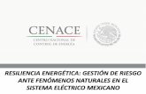 Resiliencia Energética: Gestión del Riesgo de Ante ... · sistema elÉctrico mexicano. fenómenos naturales ... 26 400 a3 k6 0 cerro blanco (cbl) - tesistan (tsn) 27 115 red com