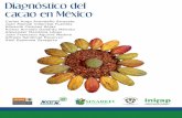 Diagnóstico del cacao en México Theobroma cacao - gob.mx · El nombre científico del cacao es Theobroma cacao L. La palabra Theobroma proviene del vocablo griego que sig-nifica