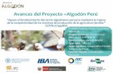 Avances del Proyecto +Algodón Perú · Avances del Proyecto +Algodón Per ... Semestre II 2016 2017 2018 Firma Proyecto e ... Productores PAT Otros TOTAL Sub Total Hombre Mujer