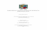Análisis Didáctico a un Proceso de Instrucción del ...enfoqueontosemiotico.ugr.es/tesis/Tesis_Mateus.pdf · Enrique Mateus Nieves ... 6.2.2. Matrices ... Plantilla 7 de análisis