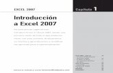 Introducción a Excel 2007 · Excel 2007 es una planilla de cálculo, un programa que permite manejar datos de diferente tipo, realizar cálculos, hacer gráficos y tablas; una herramienta