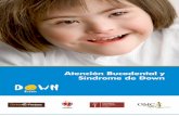 Atención Bucodental y Síndrome de Down - cgcom.es · Alteraciones asociadas al síndrome de Down Son consecuencia de trastornos neurológicos y motrices, del desarrollo craneofacial