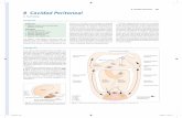 251 8 Cavidad Peritonealmedia.axon.es/pdf/74734_3.pdf · Fig. 8.2 Delimitación y correlación de los recesos lon-Fig. 8.1 Reflexiones peritoneales y los recesos que producen ...