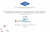 Universitat de les Illes Balears - UIBibdigital.uib.es/greenstone/collect/tesisUIB/index/assoc/Casasnov... · Que el presente trabajo de investigación, titulado "Theoretical studies