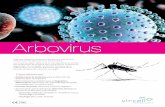 Amplio panel de productos - vircell.com · Ante una sospecha clínica de infección por arbovirus la conﬁrmación de laboratorio es fundamental. Las muestras deben obtenerse lo