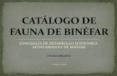 CATÁLOGO DE FAUNA DE BINÉFAR - binefar.es · chupa en el abdomen que se hincha. En Aragón se le llama caparra; como curiosidad, este nombre aparece en el Diccionario de la ...
