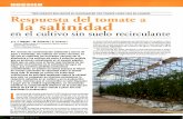 TRES ENSAYOS REALIZADOS EN INVERNADERO CON TOMATE … · tomate utilizadas en los experimentos tuvieron un comportamiento distinto respecto a la producción de destrío. Daniela fue
