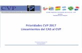 Prioridades CVP 2017 Lineamientos del CAS al CVP · EN SEGUIMIENTO AL PLAN ESTRATÉGICO del CVP 2016-2020 La definición de las prioridades de las acciones se realiza en base a criterios