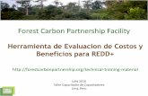 Forest Carbon Partnership Facility - GOFC-GOLD … de financiación y de tener una evaluación objetiva del déficit de financiación . • Análisis de sensibilidad del plan de financiación