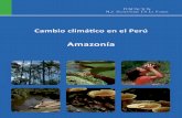 Amazonía - Fundación M. J. Bustamante de la Fuente · Cambio climático en el Perú - Amazonia 9 n El Perú es uno de los 20 países más vulnerables a las modificaciones del clima