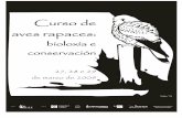 “Curso de aves rapaces: bioloxía e conservación” · “Curso de aves rapaces: bioloxía e conservación” 4 Orixe da recuperación de aves de rapina en Galicia. Diferenzas