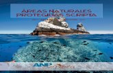 Áreas Naturales Protegidas Scriptaareas-naturales-protegidas.org/scripta/Volumen06/EDITORIAL.pdf · Biosfera a Parque Nacional, para el Área Natural Protegida Archipiélago de Revillagigedo.