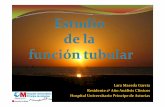 Funcion tubular Lara Maceda García - aebm.org renal alcala/3.-Funcion tubular.pdf · síndrome de Bartter en cinco tipos de acuerdo con el defecto genético y el fenotipo Por motivos