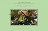 La familia Cecropiaceae - Flora de Jaliscofloradejalisco.cucba.udg.mx/CFJ_19_Cecropiaceae.pdf · dispuestas en pares en las axilas de las hojas, cada inflorescencia compuesta por