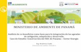 MINISTERIO DE AMBIENTE DE PANAMÁ - Ledslac ...ledslac.org/wp-content/uploads/2017/05/Co-beneficios-Mitigacion... · MINISTERIO DE AMBIENTE DE PANAMÁ . Ing. Rosilena Lindo . Directora