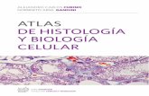 ATLAS DE HISTOLOGÍA Y BIOLOGÍA CELULAR · Las imágenes seleccionadas de este atlas han sido obtenidas de los propios preparados citológicos e histológicos desarrollados por la