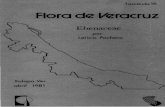 fascículo 16 Flora de Veracruz - INECOL · FLORA DE VERACRUZ Publicada por el Instituto Nacional de Investigaciones sobre Rel'UJ'SOS Biótkos Xalapa. Veracruz. Méxko Fascículo