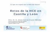 Retos de la HCE en Castilla y León · 2013-01-15 · Información estructurada en base a arquetipos ... Alergias alimentarias Alimentos Alergias de contacto Productos frecuentes