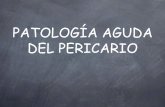 PATOLOGÍA AGUDA DEL PERICARIO - Ilustre Colegio Oficial de Médicos de ... curso Segovia.pdf · aumenta de intensidad con la inspiración profunda, la tos, el decúbito y el ejercicio.