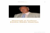 Homenaje al Profesor Emilio Galán Huertos - ehu.eus · 09 macla. nº 18. enero´14 carta de la presidenta de la Sociedad Española de Arcillas Homenaje al Profesor Emilio Galán