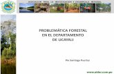 PROBLEMÁTICA FORESTAL EN EL DEPARTAMENTO DE … · • Territorio Departamento de Ucayali: 10,241,100 ha • Bosques de producción: 3,743,325 ha • Tierras de comunidades nativas: