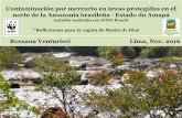 Contaminación por mercurio en áreas protegidas en el ... Sr. Ruivo Mercurio... · norte de la Amazonia brasileña ... Aspectos del trabajo de campo Varias expediciones 7-10 días