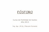 Fosforo 2013b sin animaciones - fagro.edu.uyfertilidad/curso/docs/Fosforo.pdf · Niveles de P asimilable bajo campo natural en Uruguay Material de origen P asimilable * (Bray 1) mg