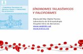 SÍNDROMES TALASÉMICOS Y FALCIFORMES - enerca.org · Los movimientos migratorios tienen como consecuencia la emergencia de la anemia falciforme en Europa, y un incremento en la prevalencia