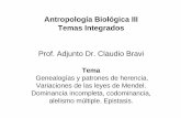 Antropología Biológica III Temas Integrados Prof. Adjunto ... · Alelos letales Anemia falciforme Hemoglobina = cuatro subunidades : dos cadenas ααααy dos cadenas ββββ.