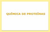QUÍMICA DE PROTEÍNAS - depa.fquim.unam.mxdepa.fquim.unam.mx/amyd/archivero/4-PROTEINAS-1_31897.pdf · lácteos son los alimentos más ricos en proteínas. Posteriormente destaca