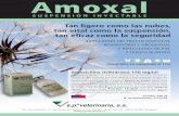 Amoxal cast. nou 2016 - spveterinaria.es · Amoxicilina (trihidrato) 150 mg/ml Indicaciones: AMOXAL está indicado en el tratamiento de Infecciones causadas por bacterias sensibles