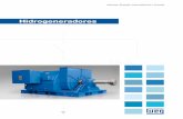 Hidrogeneradores - Interempresas: Ferias Virtuales y ... · Cliente: MADEREIRA FAXINAL Pais: Brasil Suministros: 1 x .000 kVA, 4.160 V, 1 polos Aplicación: Turbina Hidráulica (madera