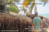 Erosión Costera: Situación Actual en Puerto Ricocaribbean-mp.org/documents/10/Dra._Maritza_Barreto.pdf · -0.9-0.4 0.1 0.6 1.1 1.6 2.1 2.6 3.1 3.6 / yr) 1977-1987 Parcelas Suárez,