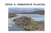TEMA 3: AMBIENTE FLUVIAL - unsj.edu.ar · Morfología del cauce fluvial Las corrientes fluviales (ríos) son geoformas dinámicas sujetas a rápidos cambios en el modelado del cauce