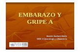 EMBARAZO Y GRIPE A - Complejo Hospitalario Universitario ... · aviaria + dos cepas porcinas + cepa humana) ... Gripe rusa 1889–1890 1 millón ... Presidente de la Sección deMedicina