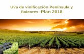 Uva de vinificaci³n Pen­nsula y Baleares: Plan 2018 .SAC contratadas en el ejercicio en curso