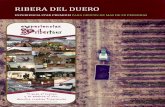 RIBERA DEL DUERO - experienciasribertour.comexperienciasribertour.com/wp-content/uploads/2018/03/EXPERIENCIA... · viaje en globo por la ribera del duerod ... (consultar idiomas)