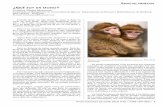 Cristina Nadal Monzon´ıs - Universidad de Murcia · de, y da igual que la jaula sea de oro, ... en el norte de Africa. ... Un bebe de macaco de Berber´ ´ıa es, ...