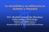 La microbiota y su influencia en diabetes y obesidad · Lozupone CA, Stombaugh JI, Gordon JI, Jansson JK, Knight R. Diversity, stability and resilience of the human gut microbiota.