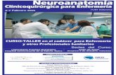 Neuroanatomía Clínicoquirúrgica para Enfermería · Neuroanatomía CURSO-TALLER en el cadáver para Enfermería y otros Profesionales Sanitarios Gómez Gutiérrez, Esther. Directora