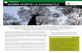 10 oaxaca Sierra norte-La chinantLa - carlosslim.com · La Sierra Norte, ubicada en el norte del estado de Oaxaca, está compuesta por dos zonas: los distritos políticos de Ixtlán