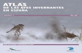 DE LAS AVES INVERNANTES EN ESPAÑA - 82.98.163.1282.98.163.12/_atlas/docs/Boletin 2 Atlas aves invernantes.pdf · E Introducción. Objetivos y esquema general del proyecto ... mir