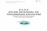 P.I.S.E (PLAN INTEGRAL DE SEGURIDAD ESCOLAR)valledelaconcagua.cl/wp-content/uploads/2017/06/PISE-2017.pdf · RESPONSABILIDADES La dirección del ...