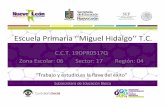 Escuela Primaria ‘‘Miguel Hidalgo’’ T.C. · Caracteríscas de la escuela ... " ¿Habrá una boleta de caliﬁcaciones para autonomía curricular? ... Poesía y expresión