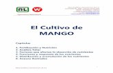 El Cultivo de MANGOwestanalitica.com.mx/wp-content/uploads/2018/05/El-Cultivo-de... · agua (Gola et al., ... considera que el valor adecuado de V para el mango es 80% (Raij, 1996