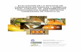 EVALUACIÓN DE LA EFICACIA DE FUNGICIDAS NATURALES … · (2) Autorizado en el ámbito de utilización de productos recolectados para pudrición en frutos de cítricos, manzanas,