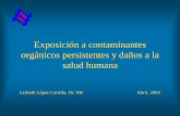Exposición a contaminantes orgánicos persistentes y daños ... TONS. DE DDT AÑO Fuente: L ópez-Carrillo, et al., EHP, 1996. 0 200 400 600 800 ... DDT en leche materna relativos