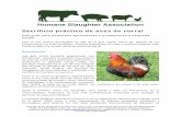 Sacrificio práctico de aves de corral - hsa.org.uk · El proceso de aturdimiento comienza con la captura y el manejo de las aves antes de la matanza. Un correcto manejo garantiza